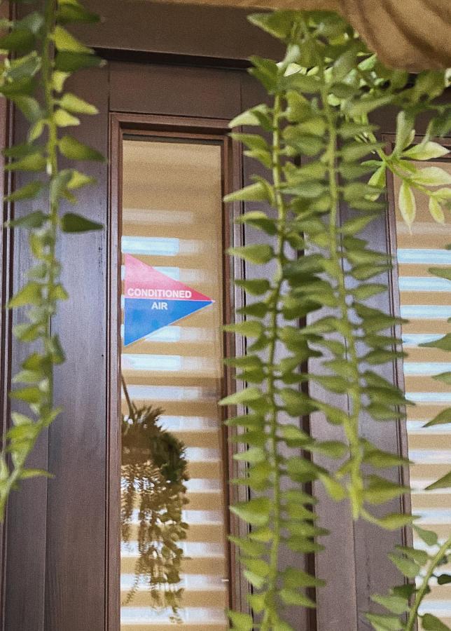Pension Lavendel Harztor エクステリア 写真